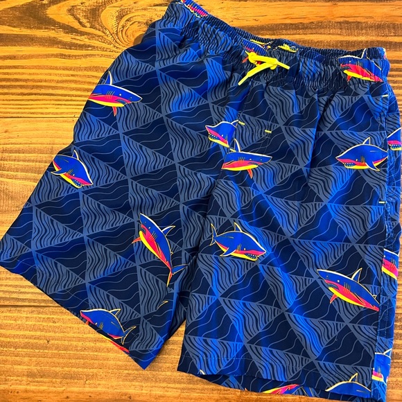 Boy Swim Trunks - Picture 1 of 3